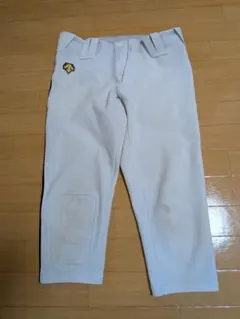 Item thumbnail for item f08da2dd-485d-4bb4-8cda-c2efa16df891