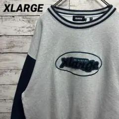 435a【平成フラミンゴ着用】エクストララージ　ビッグパイルロゴ　スウェット