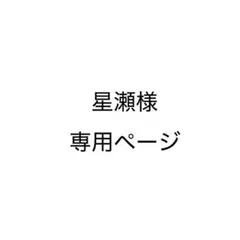 星瀬様専用ページ