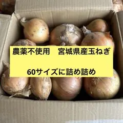 【農薬不使用】宮城県産 玉ねぎ 産地直送 60サイズたっぷり詰め詰め！のサムネイル