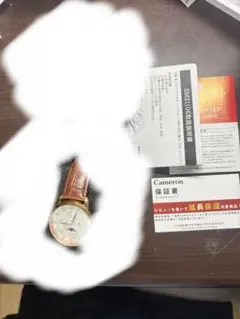 Salvatore Marra メンズ 腕時計 ムーンフェイズ