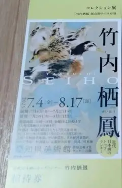 ⭐️【新品・未使用】竹内栖鳳展 2013年東京・京都展　NHKプロモーション図録 竹内栖鳳展 近代日本画の巨人 [図録] | 東京国立近代美術館