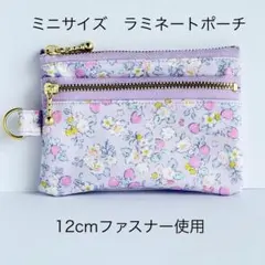 ラミネートのミニ・ダブルファスナーポーチ