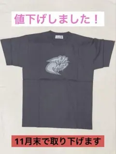 フミヤさん♡ チェッカーズ Tシャツ 藤井フミヤ フミヤさん♡ チェッカーズ Tシャツ 藤井フミヤ 希少 THE