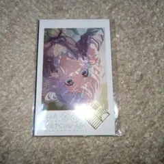 学マス Wフォトカードコレクション 2枚 葛城リーリヤ