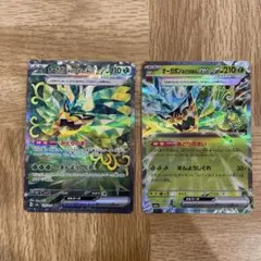 オーガポン みどりのめんex SAR RR まとめ売り