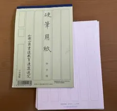 Item thumbnail for item 55194d74-6c86-4c44-b508-162e8a0500f5