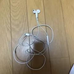 アップル純正イヤホン　ライトニング