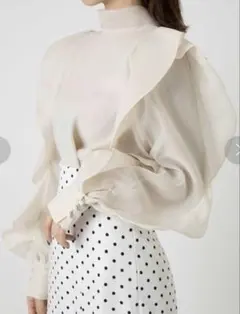 snidel オーガンシースルーブラウス オーガンジーシースルーブラウス