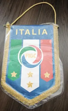サッカー イングランド代表チーム ペナント ケビンキーガン直筆サイン入り サッカー イングランド代表チーム ペナント ケビンキーガン直筆サイン
