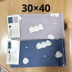 Item thumbnail for item f66a431a-db6b-443c-814f-8c2f578f1315