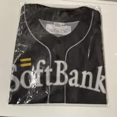 2025年最新】MIZUNO ソフトバンクホークスの人気アイテム - メルカリ