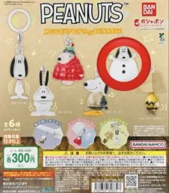 PEANUTS スヌーピー FUNNY ver. めじるしアクセサリー E