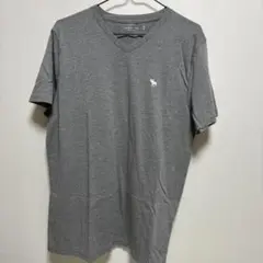 アバクロンビーアンドフィッチ グレー ロゴTシャツ