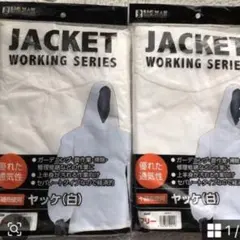 Item thumbnail for item 43295e33-4176-492d-a303-7d0d19896ba7