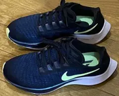 Item thumbnail for item 4cf258bc-10b7-40ed-b0fc-5eab6456d7f2