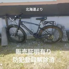⚠️説明文必読⚠️」Vigobik 電動マウンテンアシスト自転車 26インチ