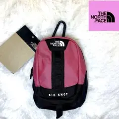 THE NORTH FACE ザ ノースフェイス ミニビッグショットポーチ