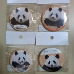 2025年最新】彩浜の人気アイテム - メルカリ