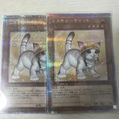 遊戯王 レスキューキャット 25th 絵違い