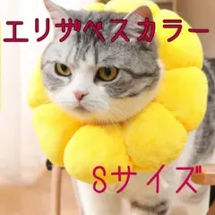 Item thumbnail for item 3b3784a0-db74-4be9-bb7d-409e7b3bc572