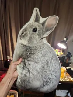 ニトリ うさぎ モチモチ クッション キキ スモール ビッグ 3点 セット