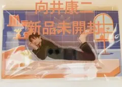 【期間限定値下げ】新品向井康二 パジャマアクスタ SnowMan RAYSグッズ