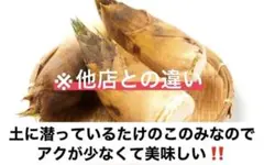 愛知産 朝堀新鮮たけのこ 約20キロ 収穫出来次第で即日発送！ - メルカリ