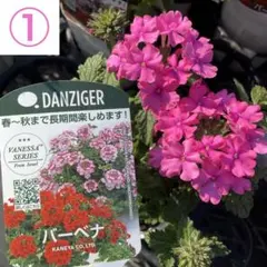 k180様 リクエスト 4点 まとめ商品