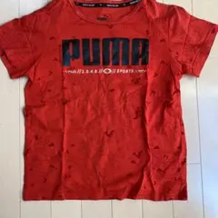 PUMA 赤 Tシャツ 150 KEPS YOU DRY