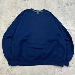 ゆ*こ様 フルーツオブザルーム　無地　ブランク　ソリッド　スウェット　古着　ネイ