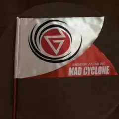 GENERATIONS フラッグ