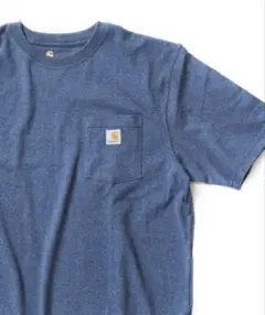 US規格　カーハート　Tシャツ　ブルー