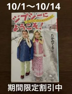【期間限定割引中】ジプシーにようこそ！ 旅バカOL、会社卒業を決めた旅