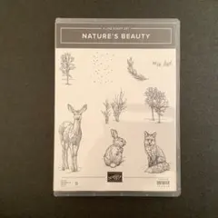 Stampin'Up! スタンピンアップ『NATURE'S BEAUTY』