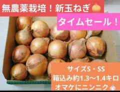 無農薬栽培！新玉ねぎ約1.3キロのサムネイル