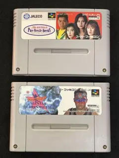 SFC 女子プロレス 2本セット