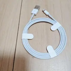 純正品 アップル Apple USB-A - Lightningケーブル
