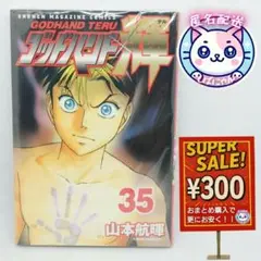 【匿名配送】ゴッドハンド輝　３５　送料込　良品　まとめ割可