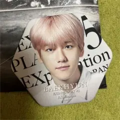 EXO ベッキョン　バッジ