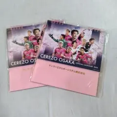 Item thumbnail for item ec248d96-db48-48f9-a3ea-da2ae6f4d37f