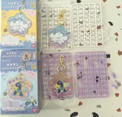ポケモン パチパチデコネーム ワッカネズミ テラパゴス 2種セット