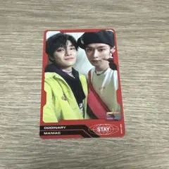 StrayKids ODDINARY アリラン トレカ