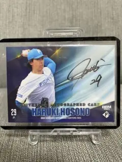 Item thumbnail for item 84b27762-d4e4-433d-acfb-4f160375e2d4