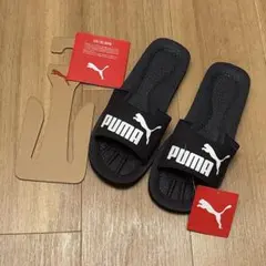 Item thumbnail for item 381d8d20-cea3-4428-9fd3-f9ffe077a310