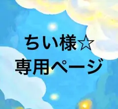 ちい様 専用