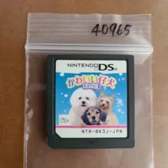 かわいい仔犬DS3