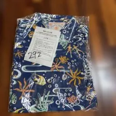 Item thumbnail for item 7eb23cc1-db34-43ea-9bed-03c9500db679