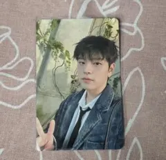 StrayKids スキズ エコパ 5/18 CD購入特典 スンミン トレカ