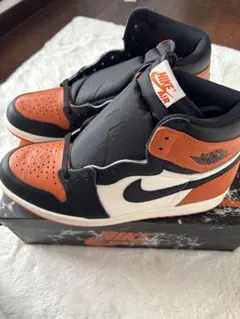 Nike Air Jordan 1 Retro High OG